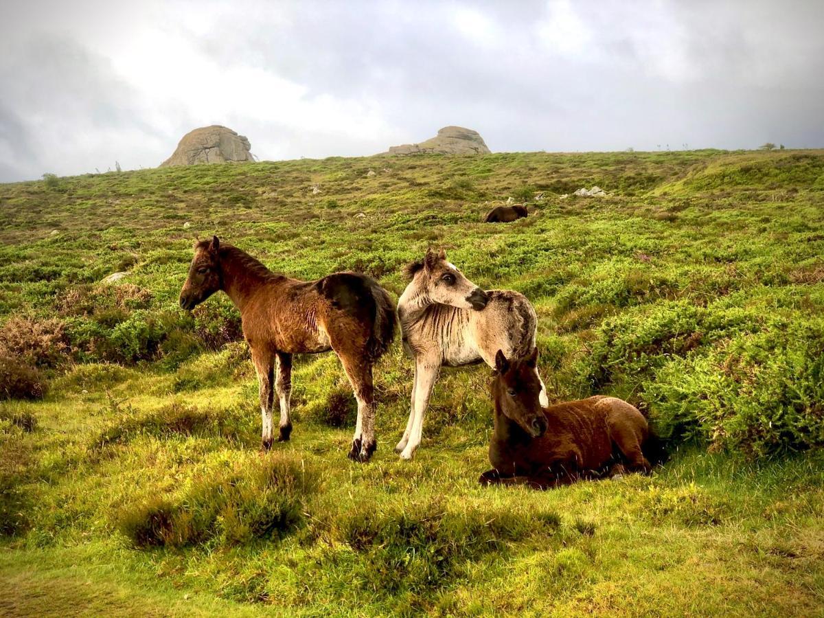 Haytor Court, Haytor, Dartmoor Apartment Bagian luar foto
