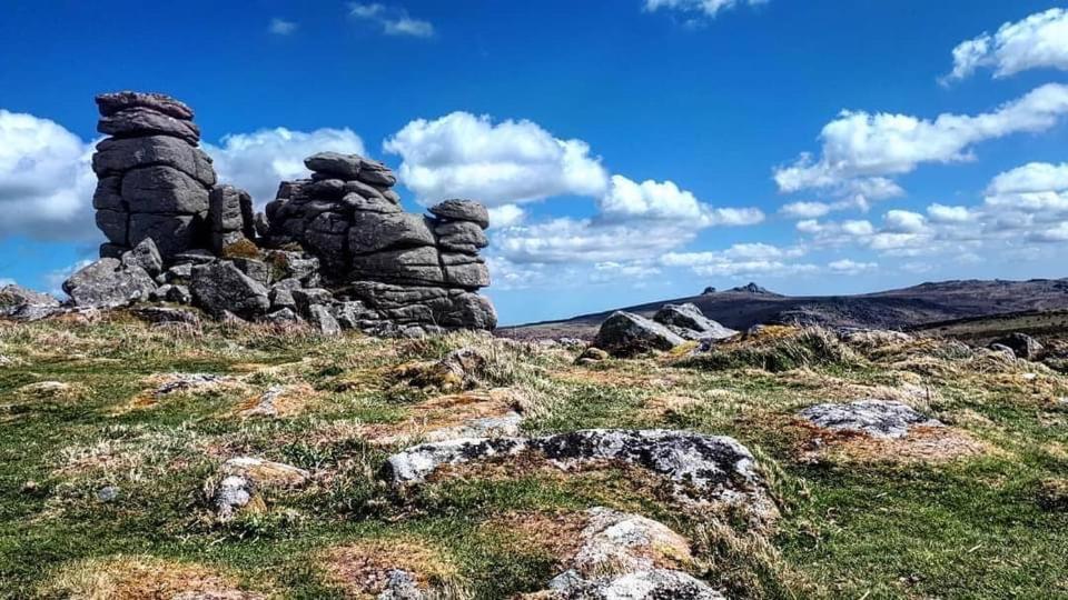Haytor Court, Haytor, Dartmoor Apartment Bagian luar foto